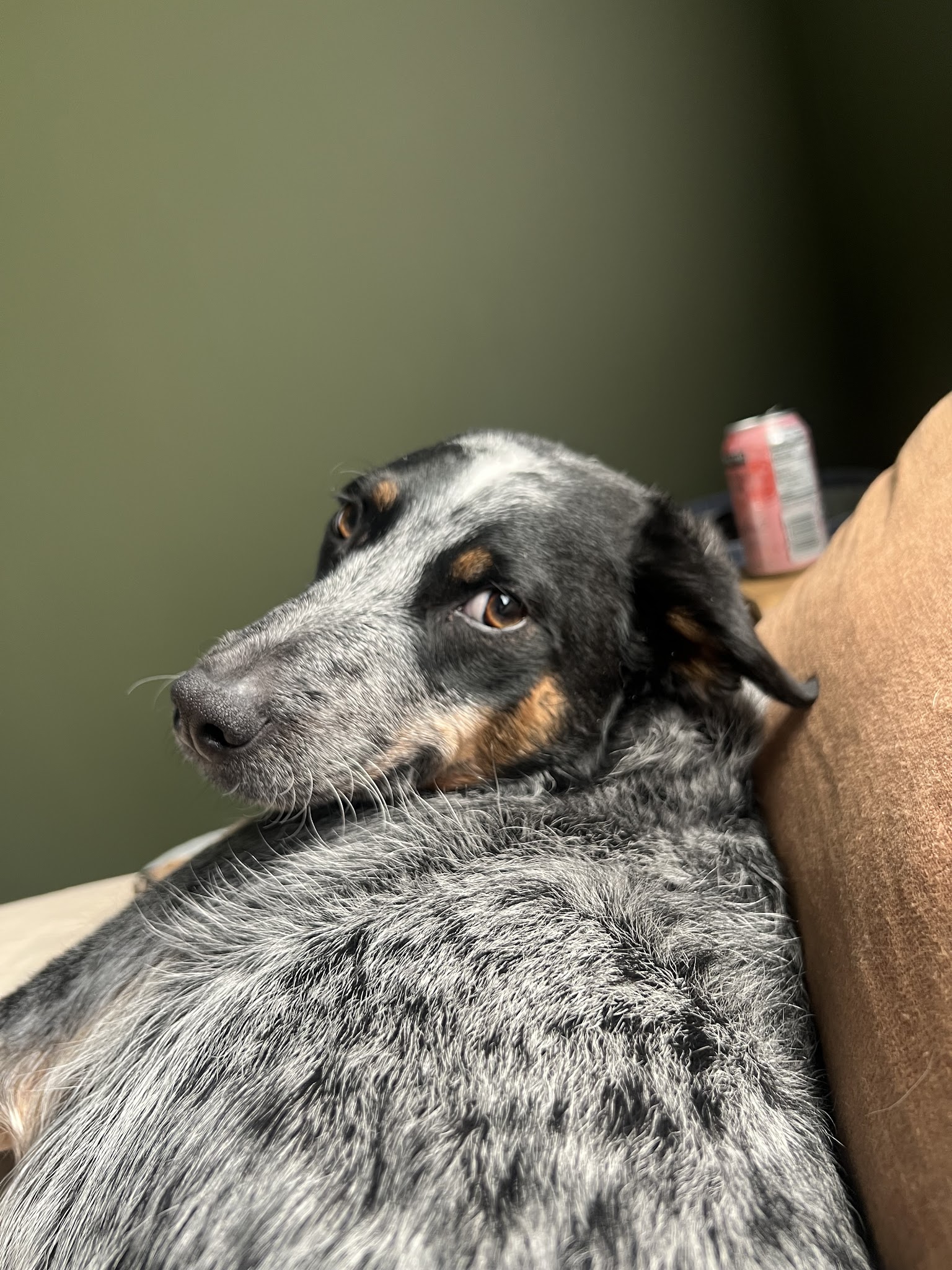 Georgia